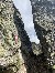 Durch diese hohle Gasse…