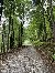 Durch den Wald immer steil bergauf
