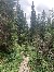 Lange durch den Wald…