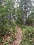 …und noch mehr Wald…