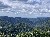Wald, Wald und nochmal Wald…